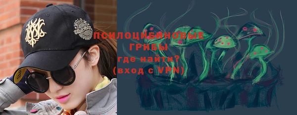 ПСИЛОЦИБИНОВЫЕ ГРИБЫ Бронницы