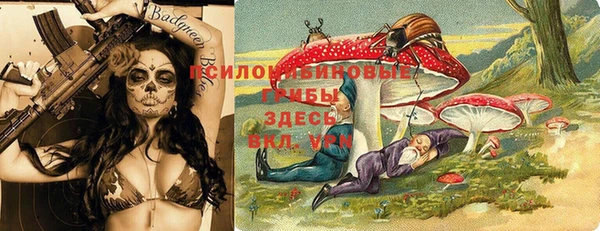 МДПВ Богданович
