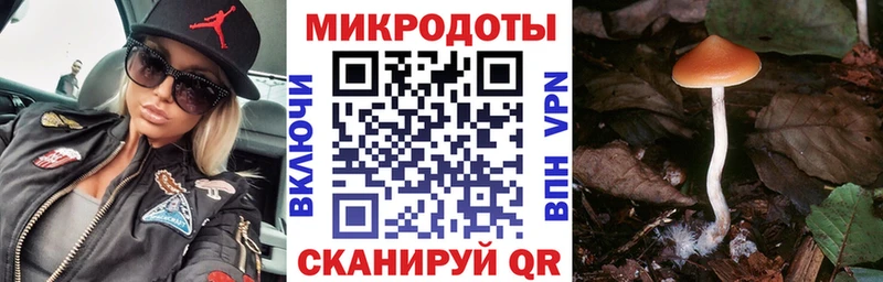 Псилоцибиновые грибы Magic Shrooms  kraken рабочий сайт  Шумерля 